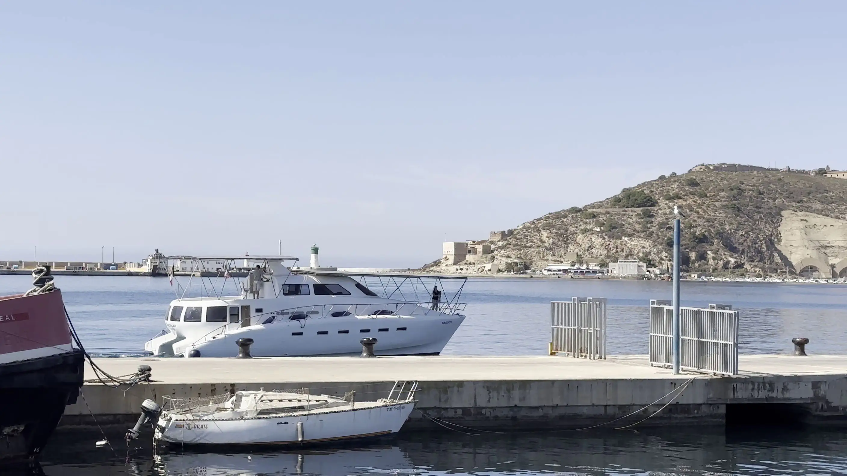 Escargot quittant Carthagène