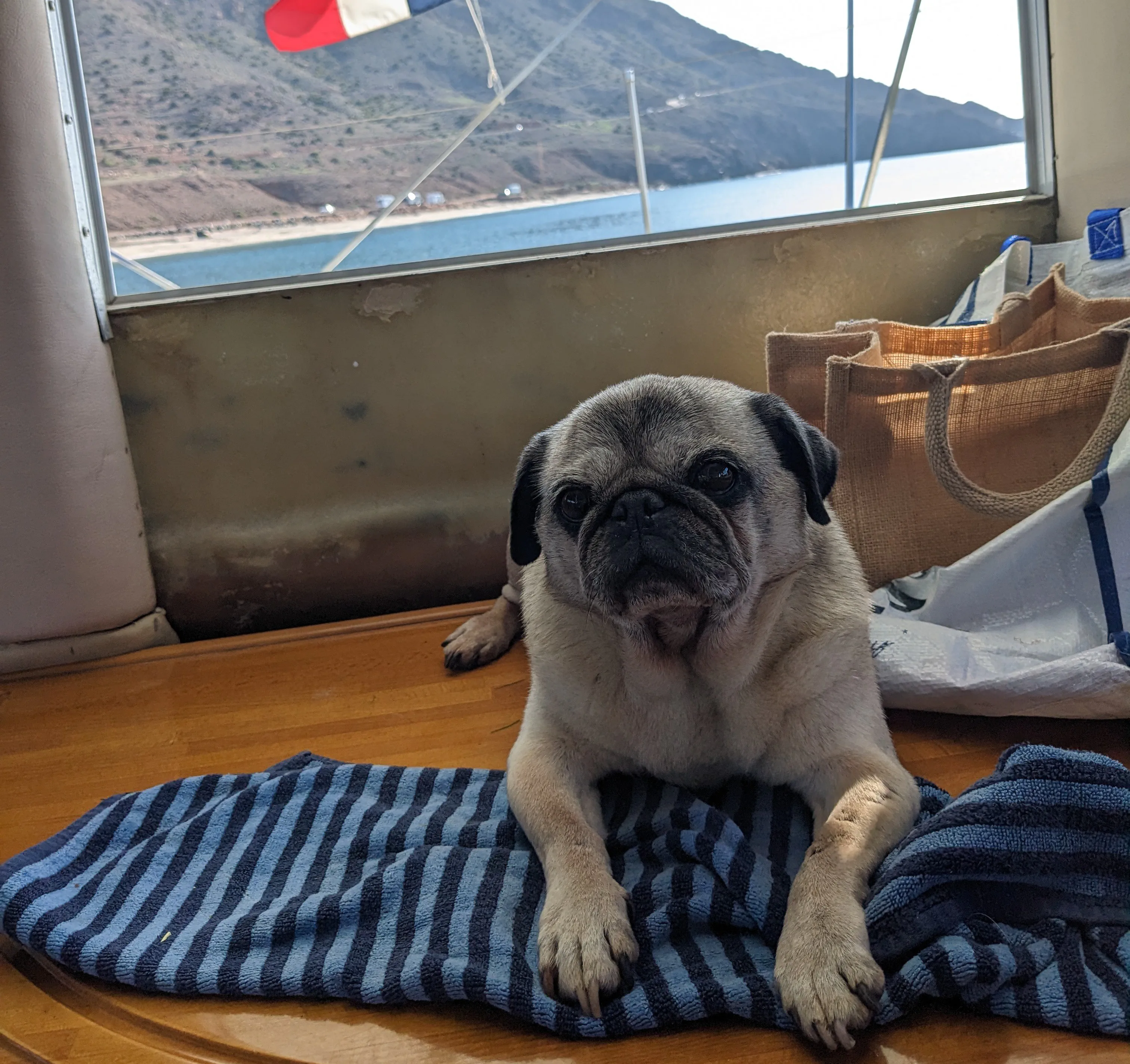 BigBoy ready for the next passage