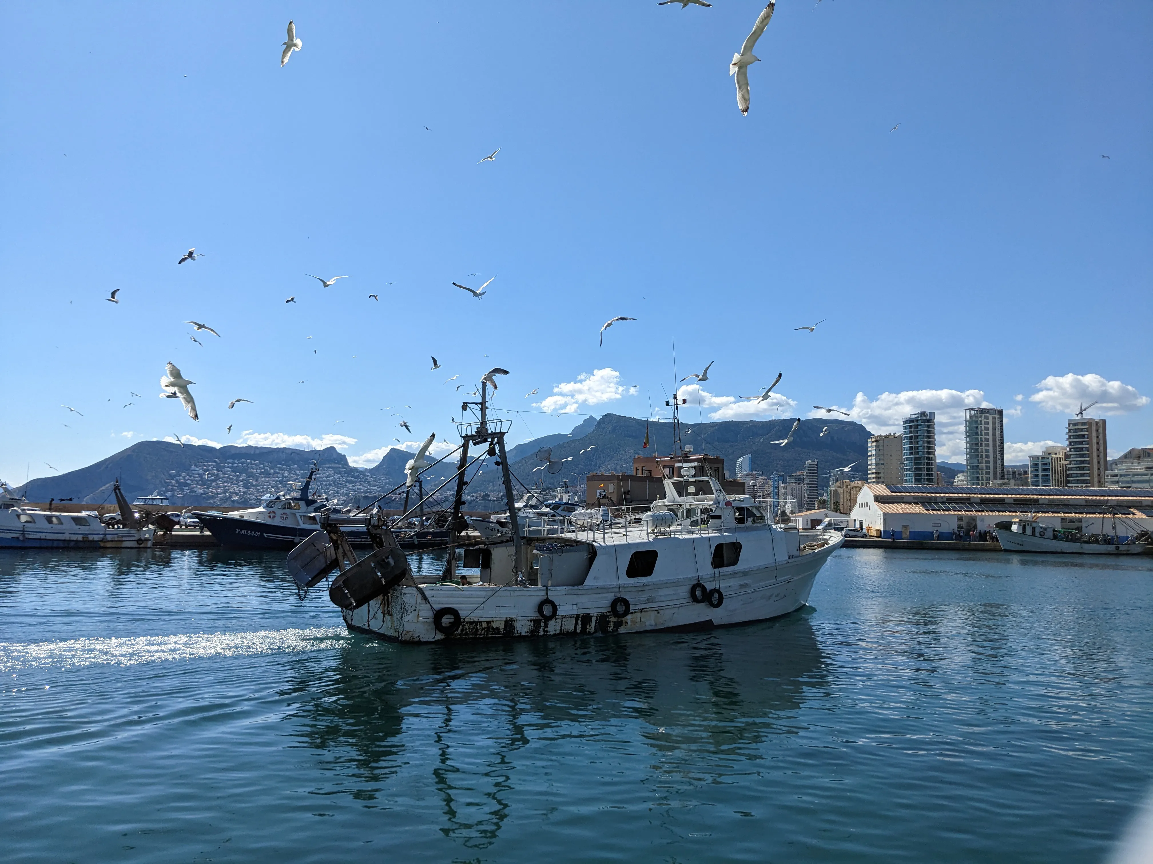 Fishing Activity in Calpe A fishing boat entering the port of Calpe