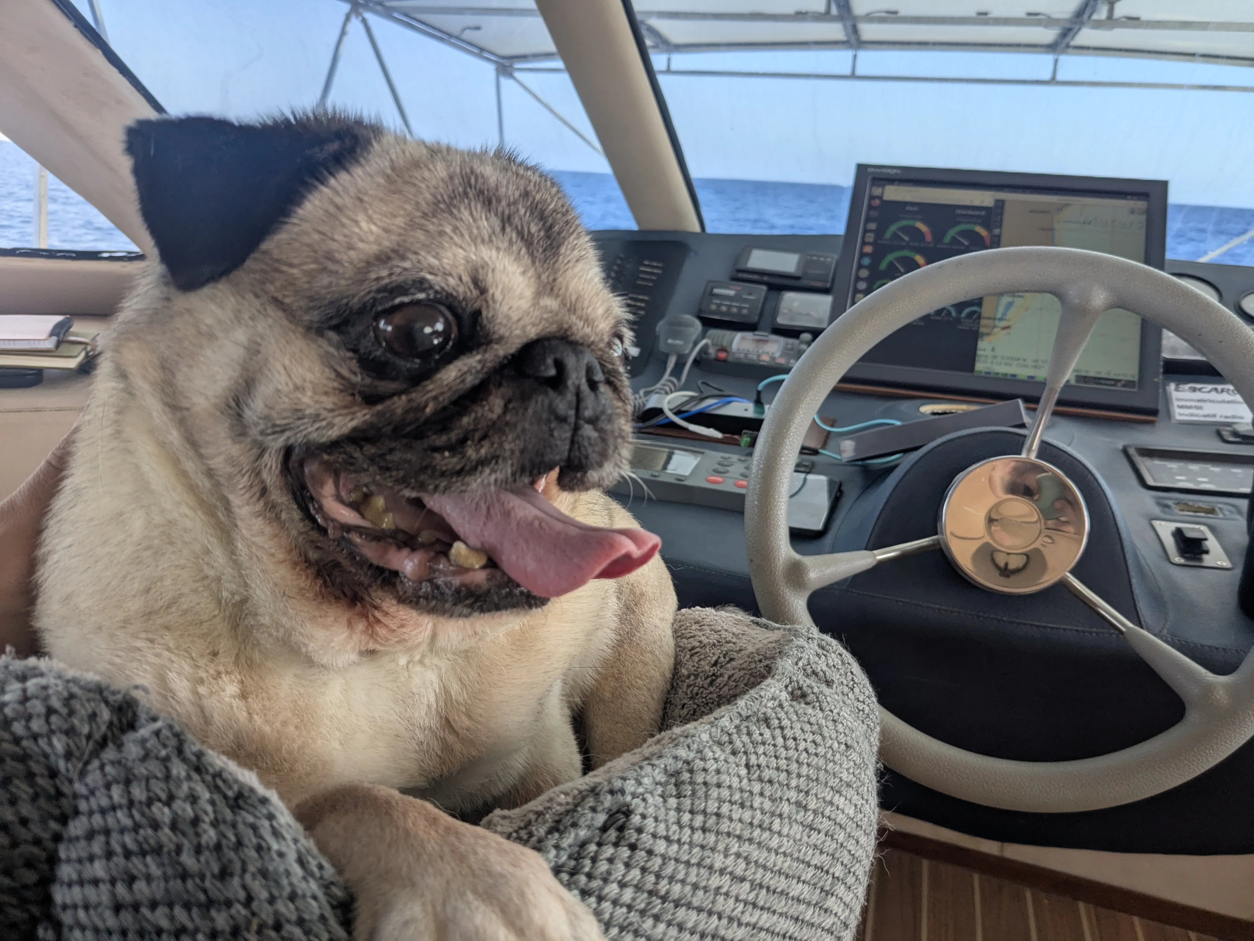 BigBoy de quart lors de notre départ de Torrevieja