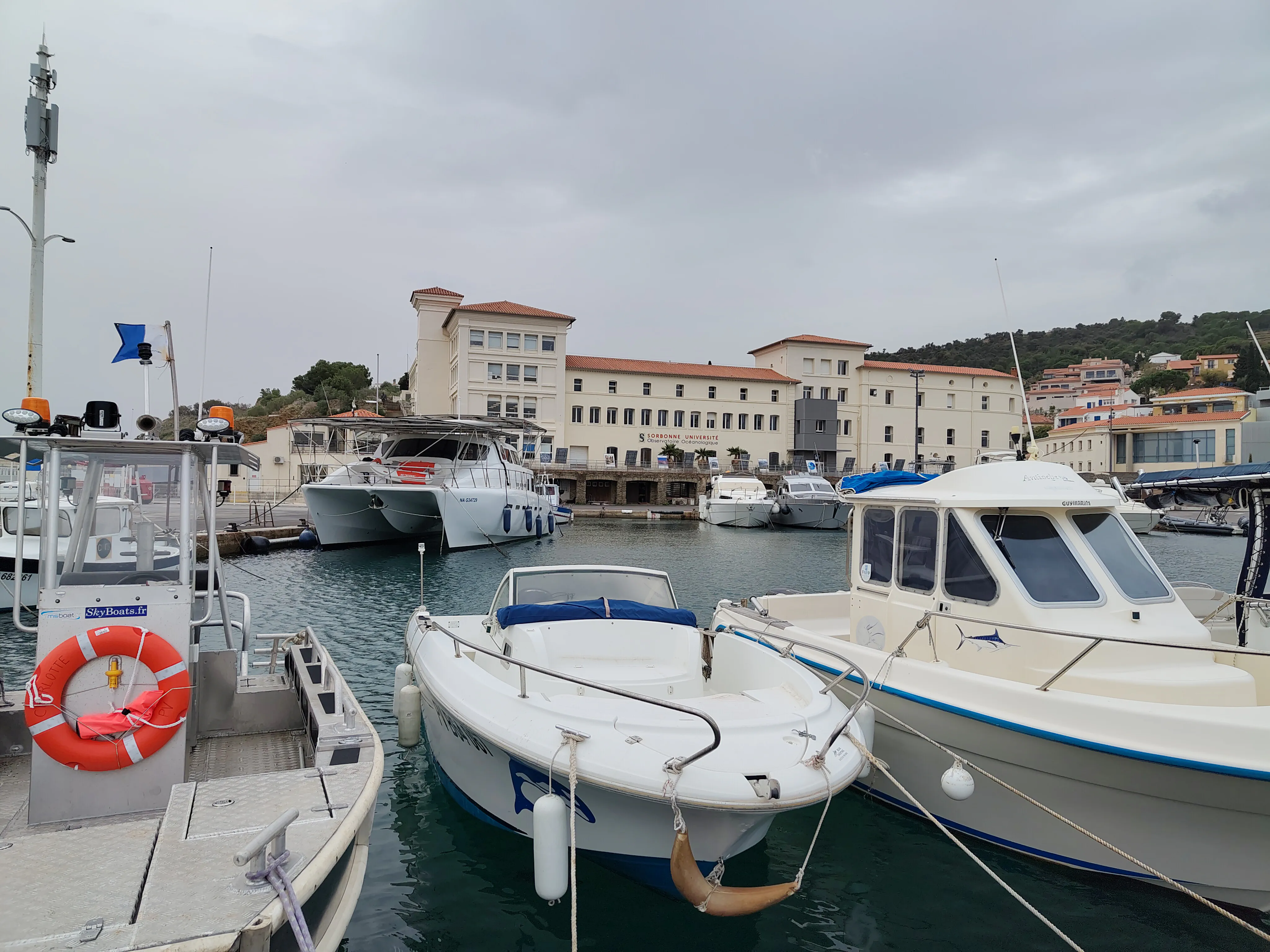 Amarrés à Banyuls-sur-Mer
