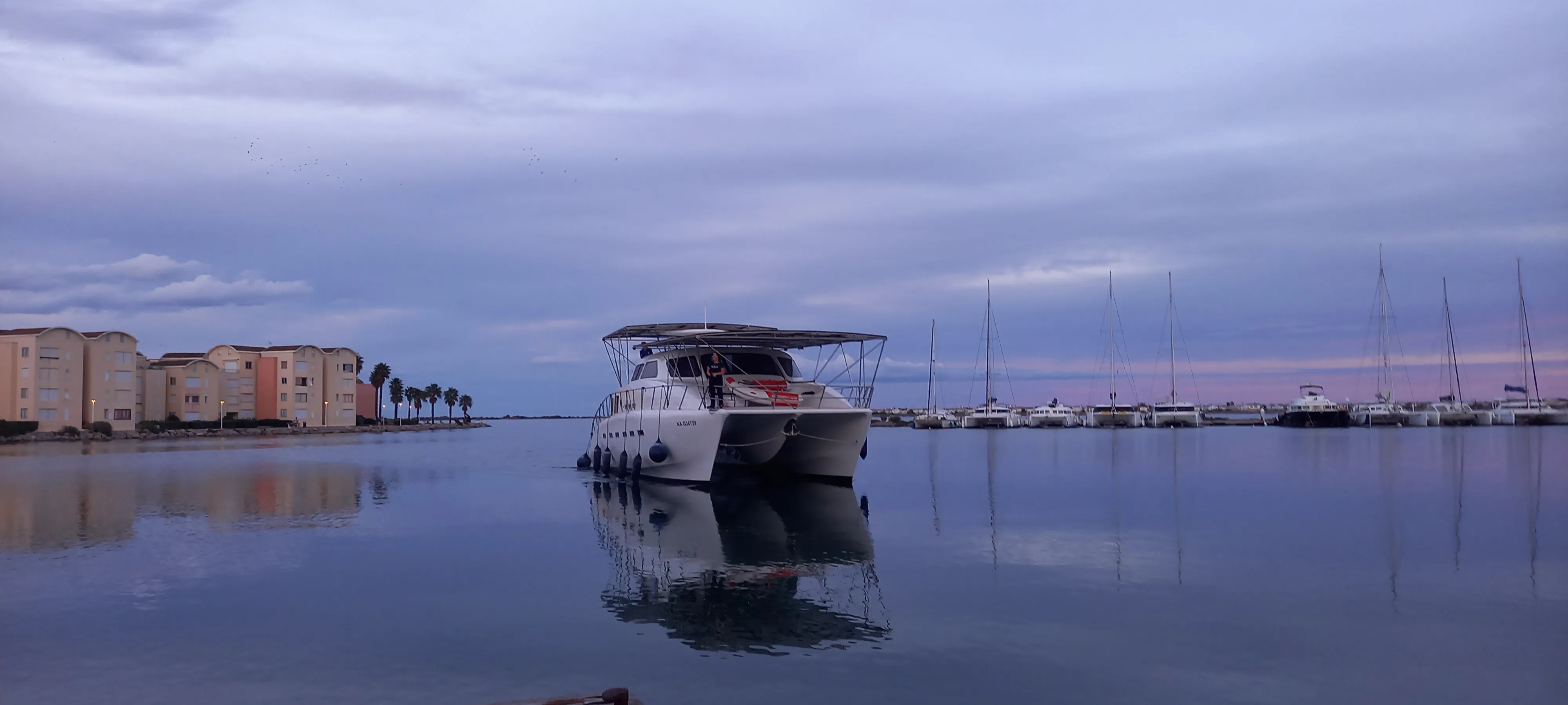 Arrivée d'Escargot à Gruissan