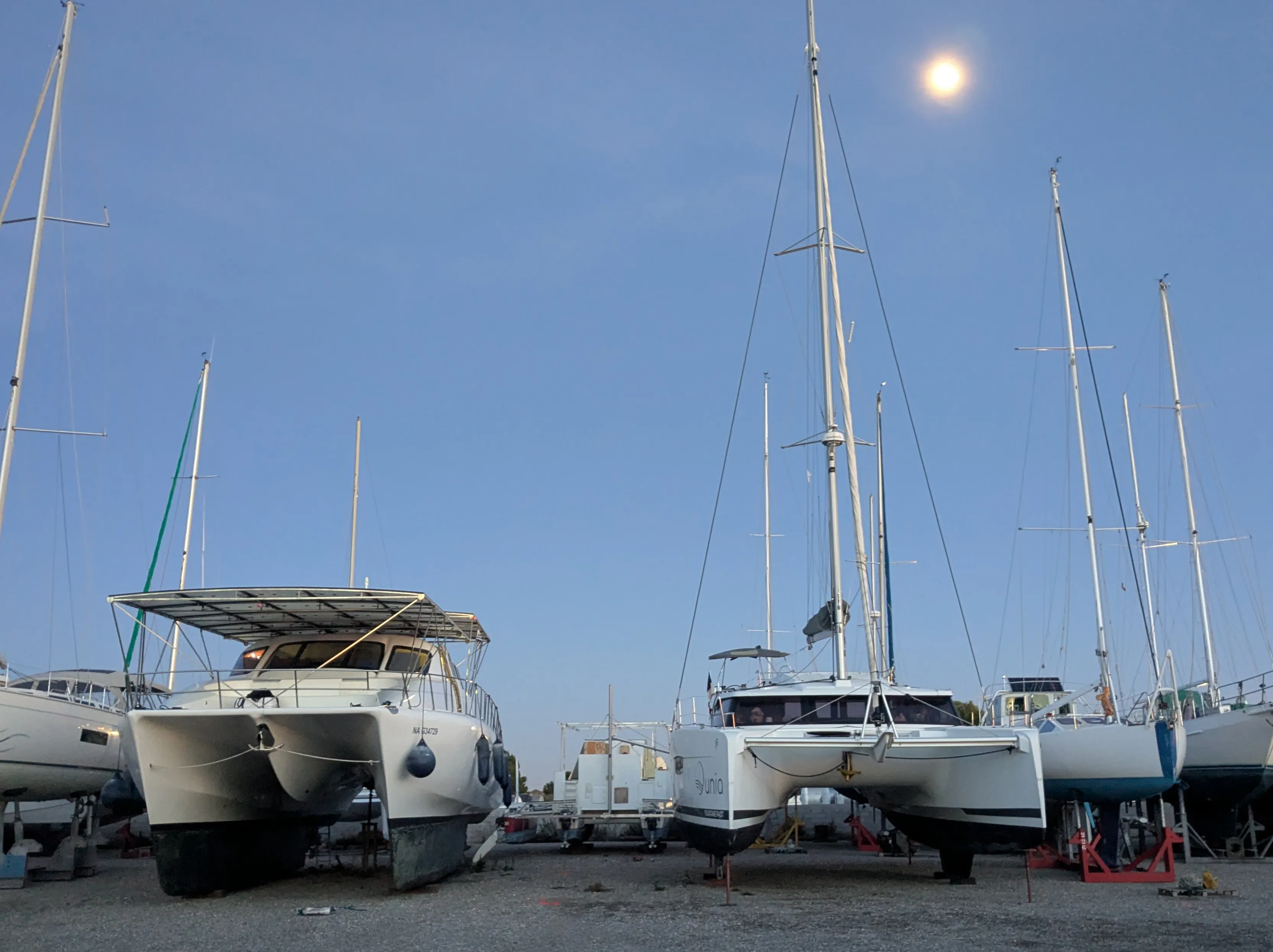 Escargot à terre pour l'hiver
